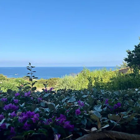 Villa Oleandro *