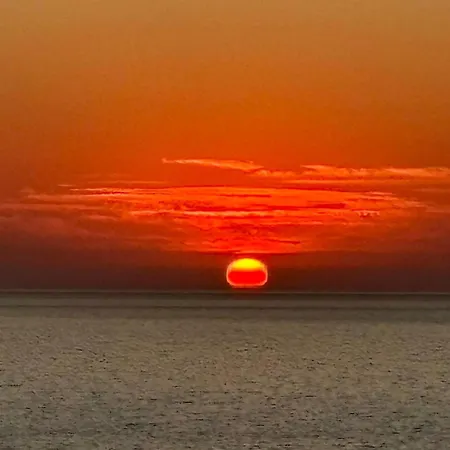 Oleandro * コスタ・パラディーゾ