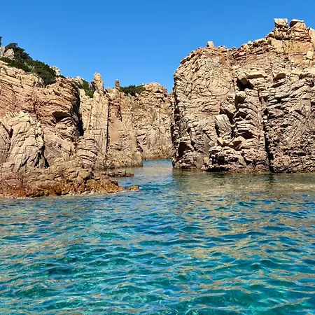 Oleandro * コスタ・パラディーゾ