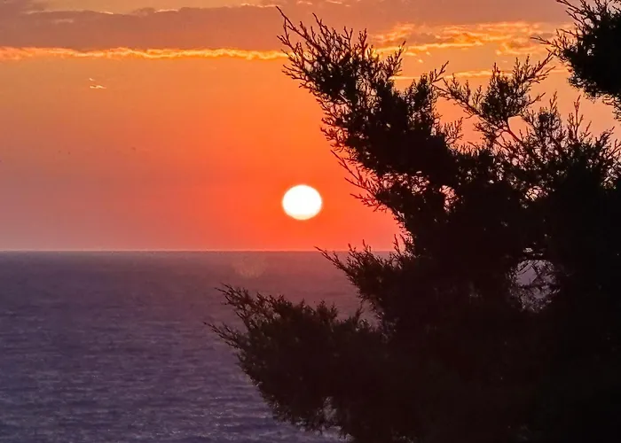 Oleandro Villa Costa Paradiso