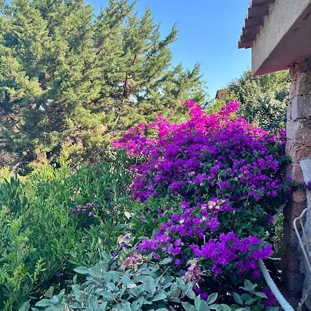 Villa Oleandro *