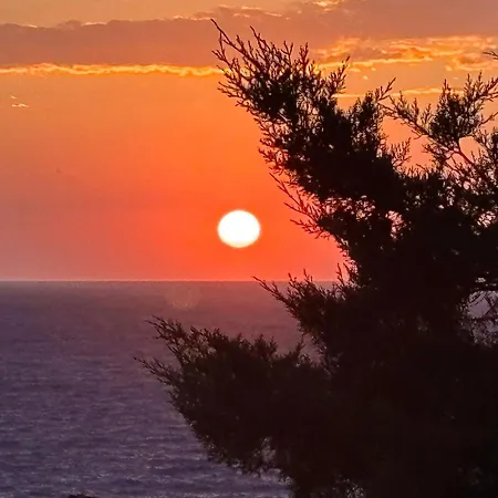 Oleandro Villa Costa Paradiso